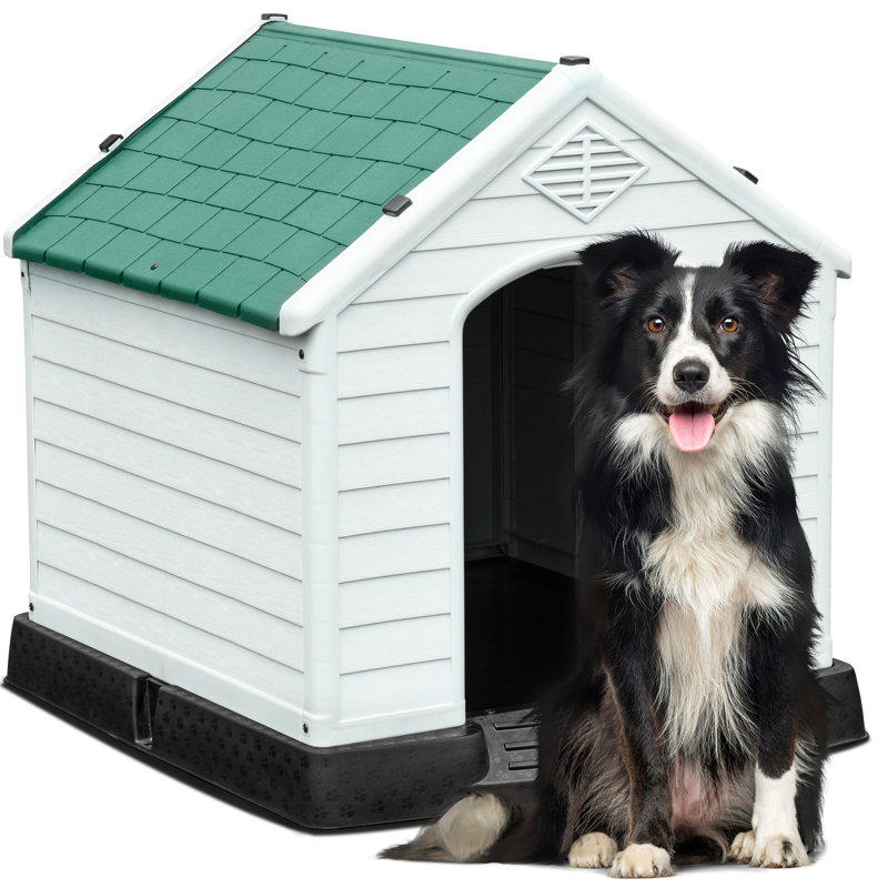 Archie & Oscar™ Shelia Plastic Dog House & Reviews Wayfair
